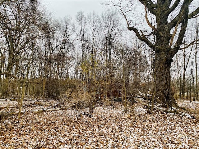 8481 Jennings Rd, Olmsted Twp, OH 44138 - photo 8