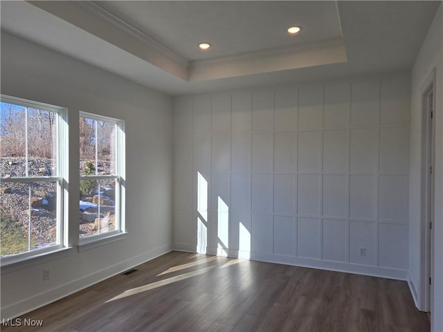 empty room featuring a tray ceiling, a healthy amount of sunlight, and dark hardwood / wood-style floors