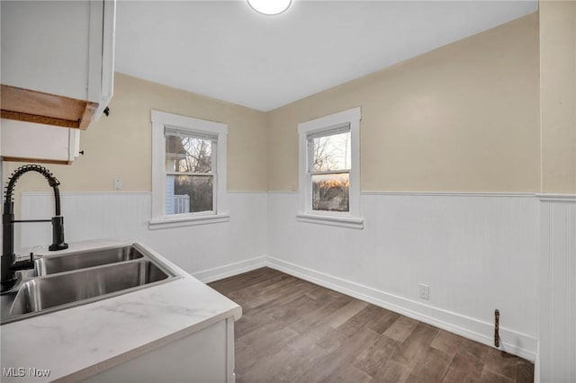 kitchen featuring hardwood / wood-style floors and sink