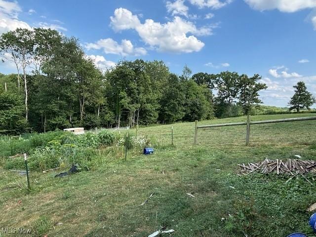 view of yard with a rural view