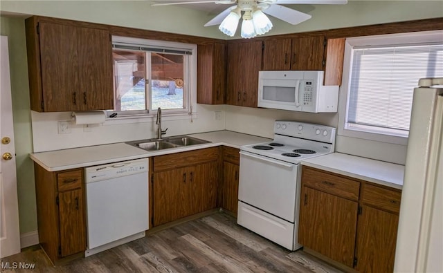 kitchen featuring ceiling fan, sink, dark wood-type flooring, and white appliances