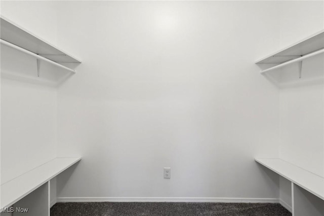 spacious closet with dark colored carpet