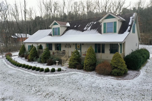 cape cod-style house featuring a porch