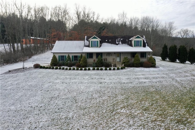 view of cape cod house