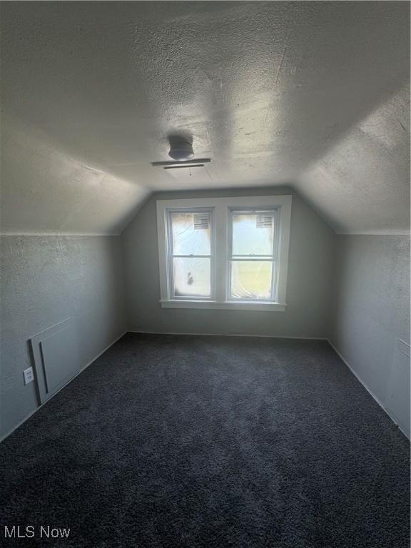 additional living space with carpet flooring, ceiling fan, a textured ceiling, and lofted ceiling