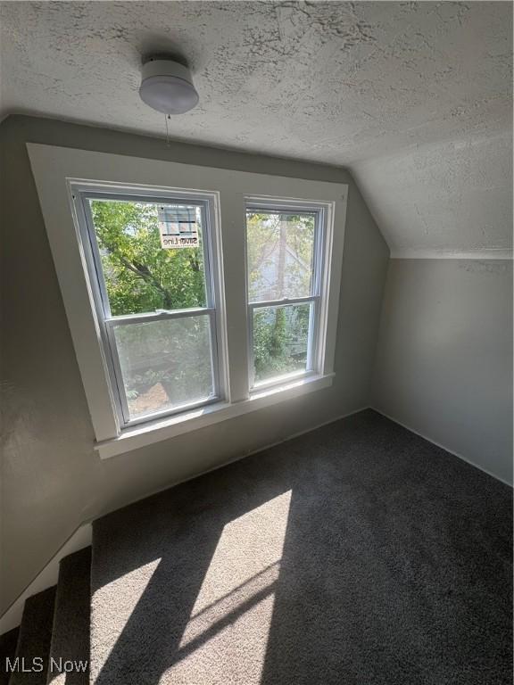 additional living space featuring a textured ceiling, carpet floors, and vaulted ceiling