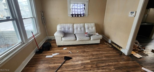 living room with dark hardwood / wood-style flooring