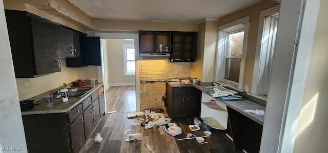 kitchen with backsplash, sink, dark hardwood / wood-style floors, and plenty of natural light