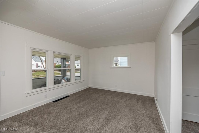 carpeted empty room with a wealth of natural light