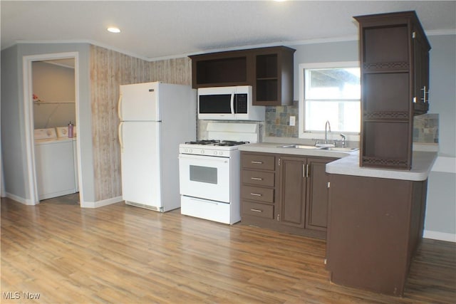 kitchen with light hardwood / wood-style floors, crown molding, white appliances, and sink