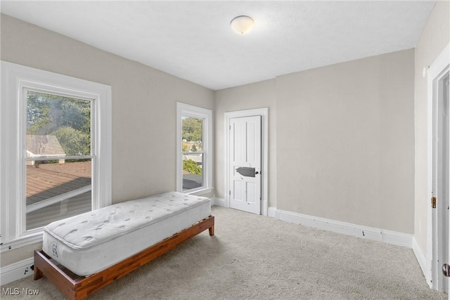 bedroom with carpet floors