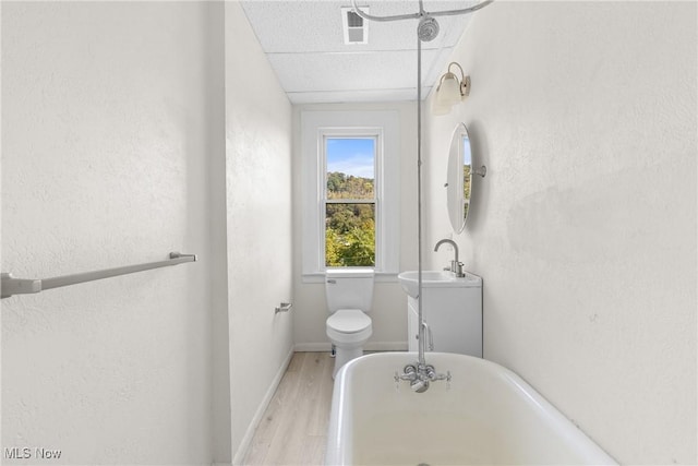 bathroom featuring a paneled ceiling, a bathtub, vanity, wood-type flooring, and toilet