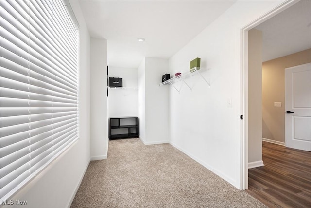 spacious closet featuring carpet