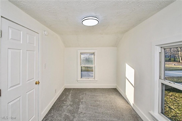 interior space featuring carpet, a textured ceiling, and lofted ceiling