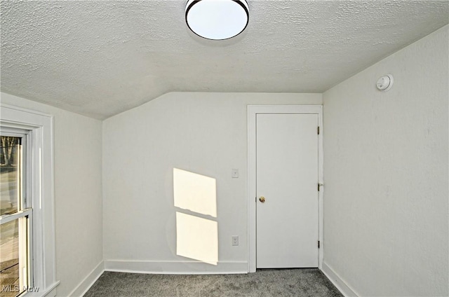 additional living space with a textured ceiling, lofted ceiling, and carpet floors