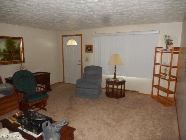 living area featuring carpet floors and a textured ceiling