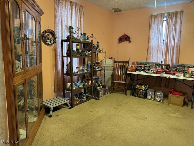 misc room featuring carpet floors, a textured ceiling, and a wealth of natural light