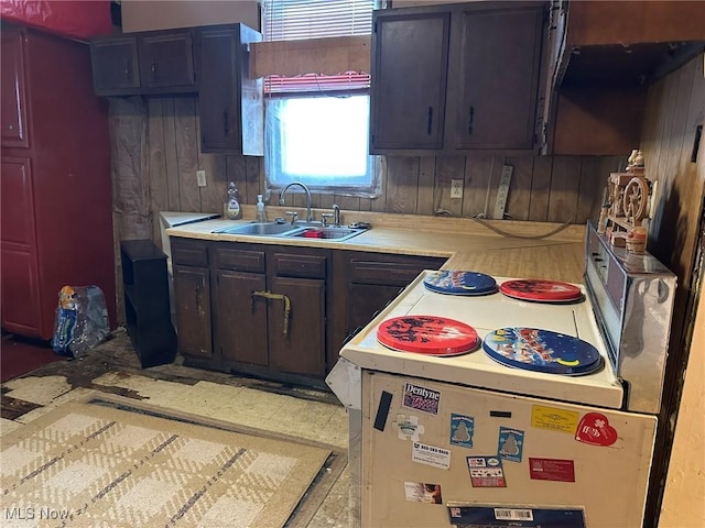 kitchen featuring dark brown cabinets, wood walls, and sink