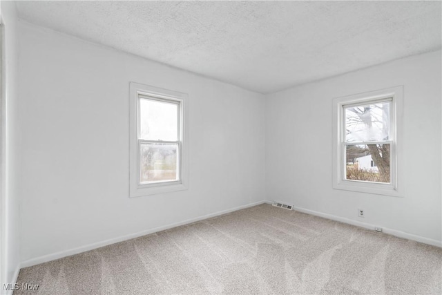 spare room with carpet flooring and a textured ceiling