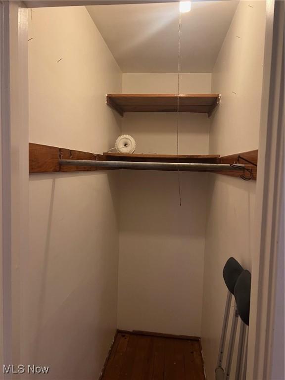 walk in closet featuring dark wood-type flooring