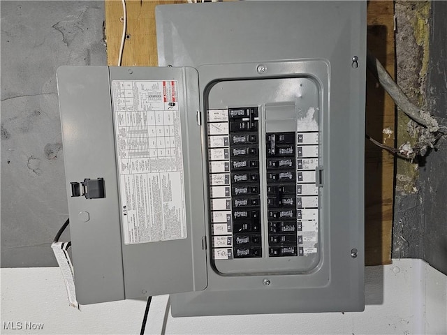 utility room with electric panel