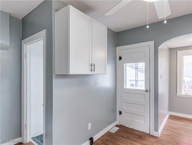 clothes washing area with a wealth of natural light, ceiling fan, and light hardwood / wood-style floors