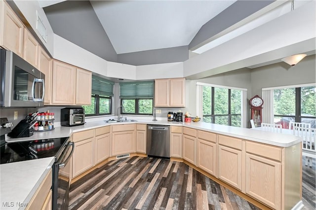 kitchen with sink, light brown cabinets, kitchen peninsula, plenty of natural light, and appliances with stainless steel finishes