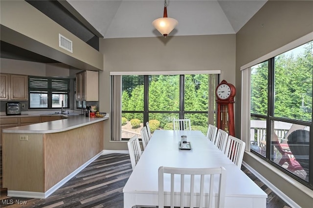 dining space featuring lofted ceiling and dark wood-type flooring