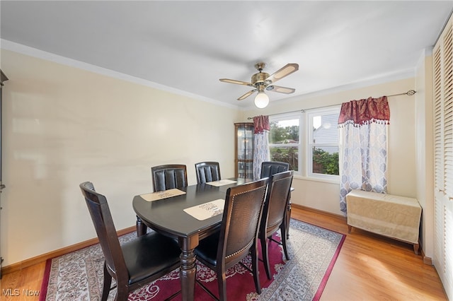 dining room with ceiling fan, light hardwood / wood-style floors, and crown molding