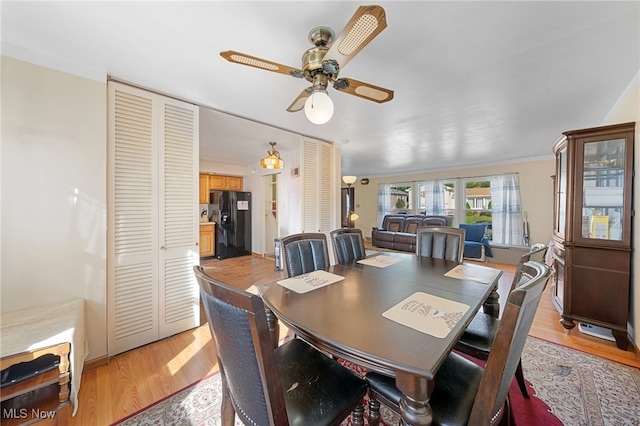 dining area with light hardwood / wood-style flooring, ceiling fan, and ornamental molding