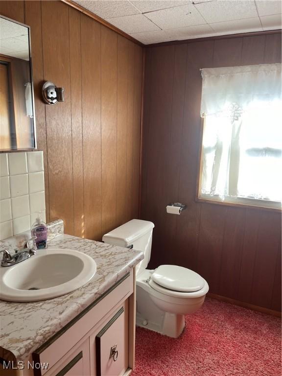 bathroom with wooden walls, vanity, and toilet