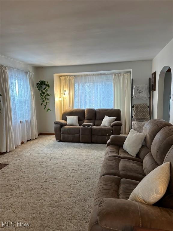 living room with light colored carpet