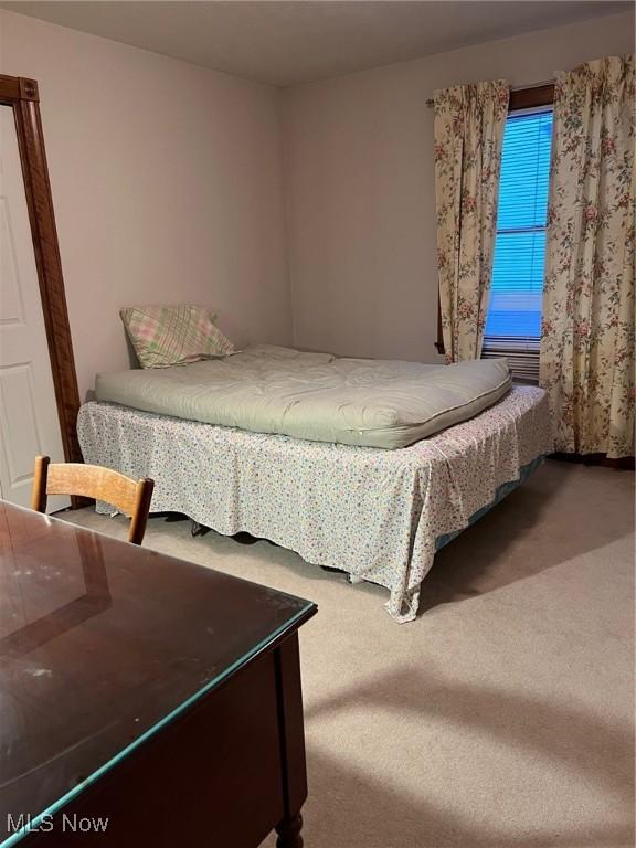 bedroom with carpet