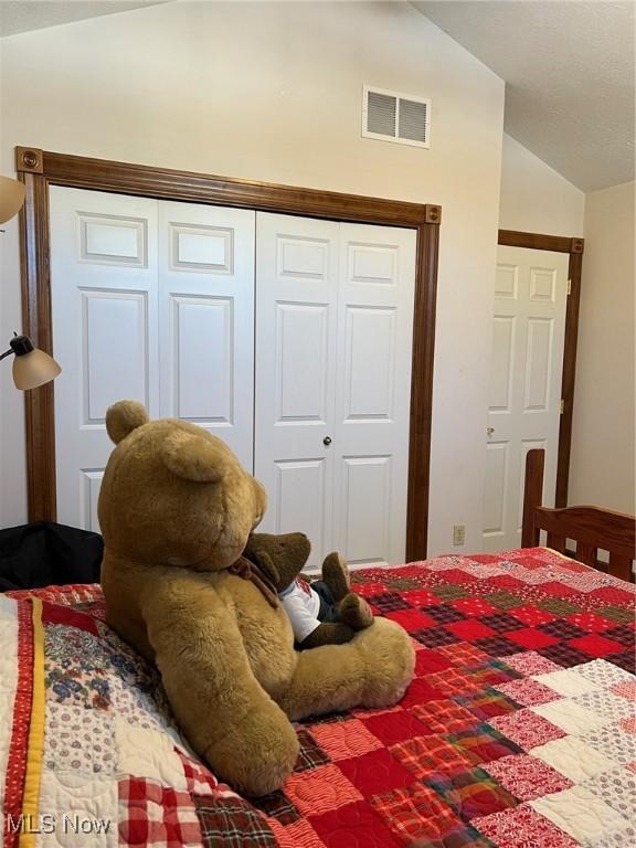 bedroom featuring a closet and vaulted ceiling