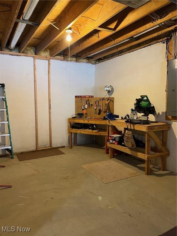 basement featuring electric panel and a workshop area