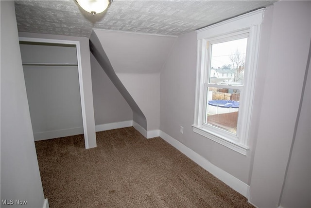 additional living space featuring vaulted ceiling, a wealth of natural light, carpet, and a textured ceiling