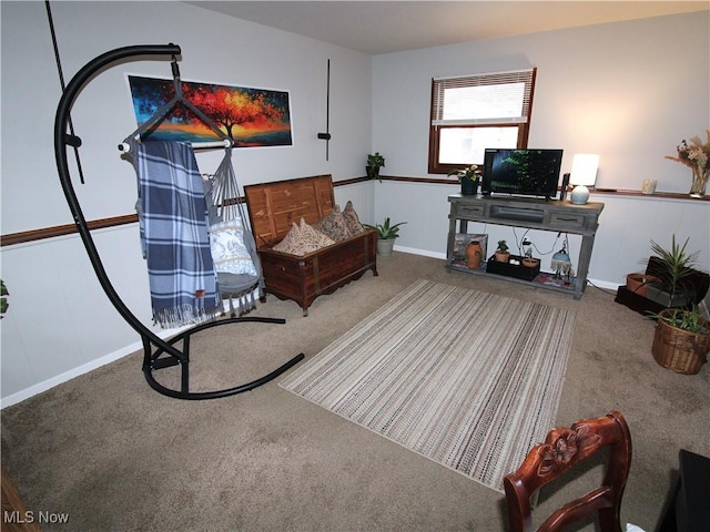 living area featuring carpet floors