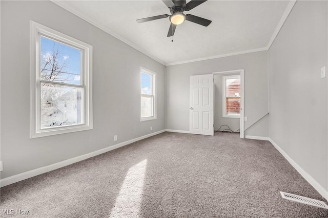 unfurnished bedroom with carpet, ceiling fan, and ornamental molding