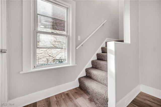 stairs with hardwood / wood-style flooring