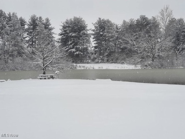 view of yard covered in snow