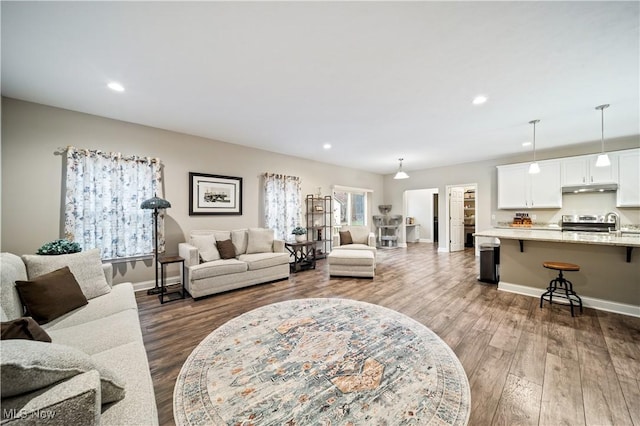 living room with dark wood-type flooring