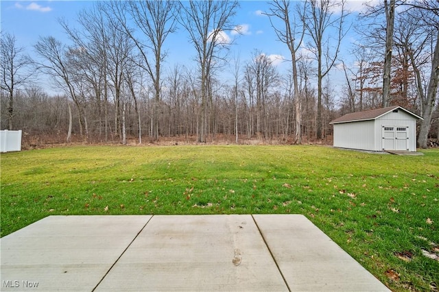 view of yard featuring a shed and a patio area