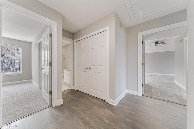 hallway with dark hardwood / wood-style floors