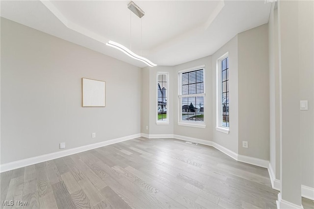 spare room with a raised ceiling and light hardwood / wood-style flooring