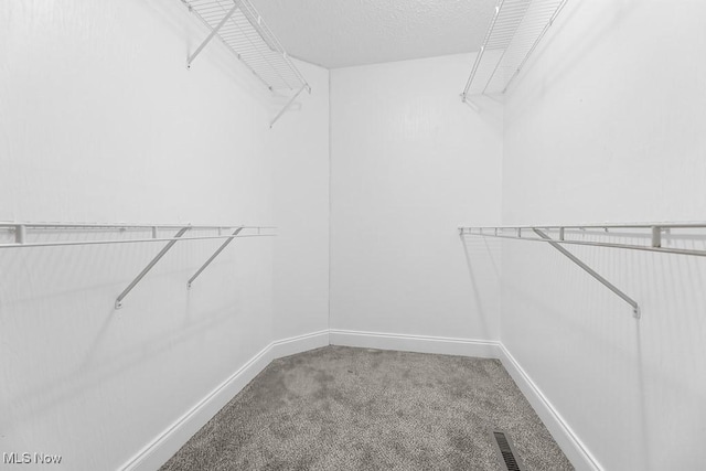 spacious closet with carpet floors