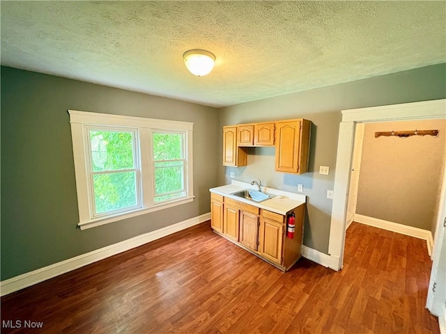 kitchen with wood-type flooring, a textured ceiling, and sink