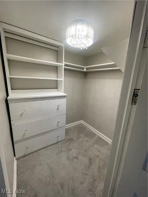 walk in closet with light carpet