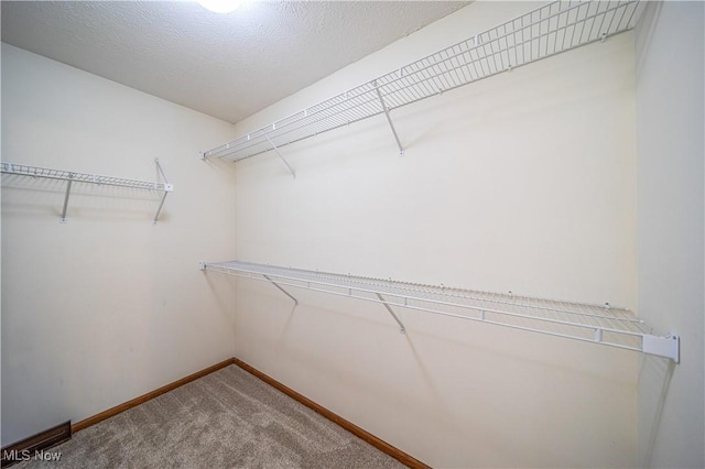 walk in closet featuring carpet floors