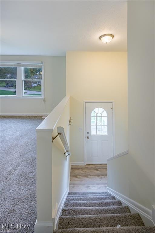 stairway with carpet floors