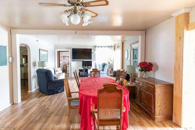 dining space with ceiling fan and light wood-type flooring